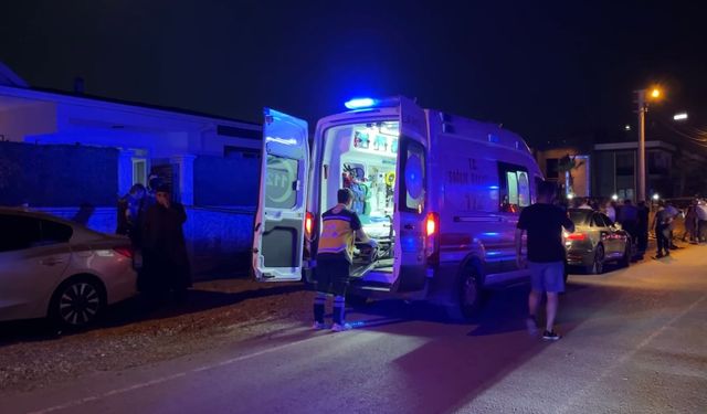 Husumetli olduğu yeğenlerini vurdu