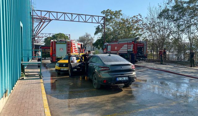 İzmir'de ot yangını