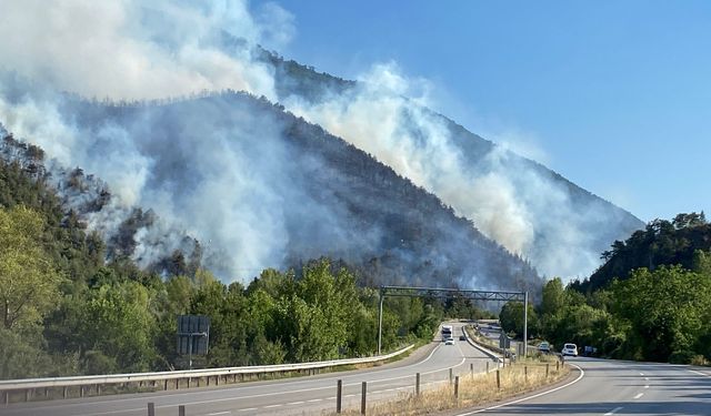 Karabük'te ormanı alevler sardı