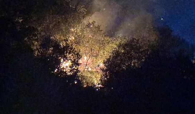 Manisa'da Yangına Erken Müdahale