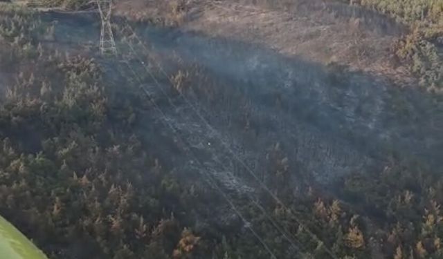 Manisa'daki orman yangını 2'nci gününde