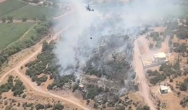 Milas'ta tarım arazisinde yangın