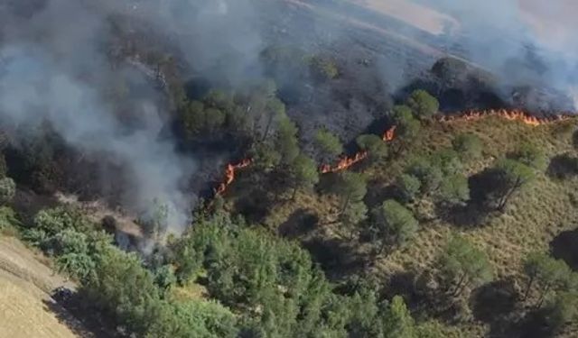 Sardinya Adası orman yangınlarıyla boğuşuyor