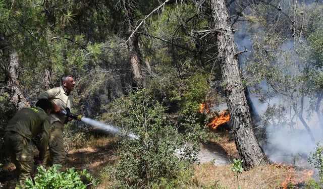 Şarköy'deki orman yangını kontrol altına alındı