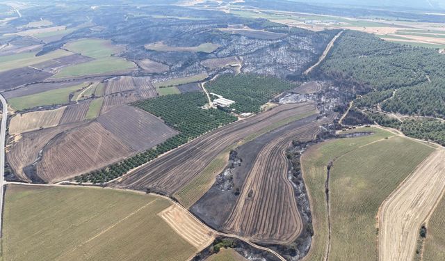 Yangın Sınır Tanımadı: Çanakkale’de 85 Hektar Orman Zarar Gördü!