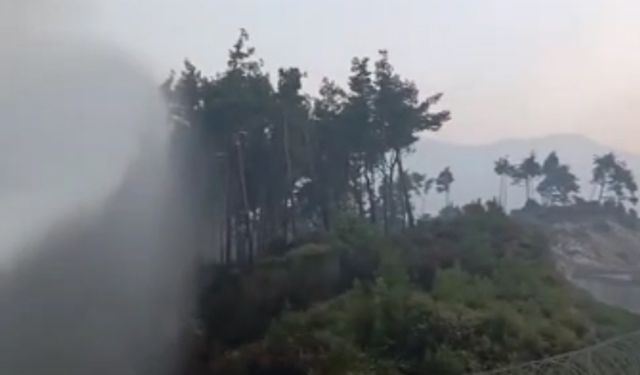 Yayladağı'na sıçrayan yangın kontrol altında