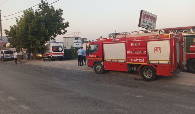 Yıldırım'da tesisi alevler sardı