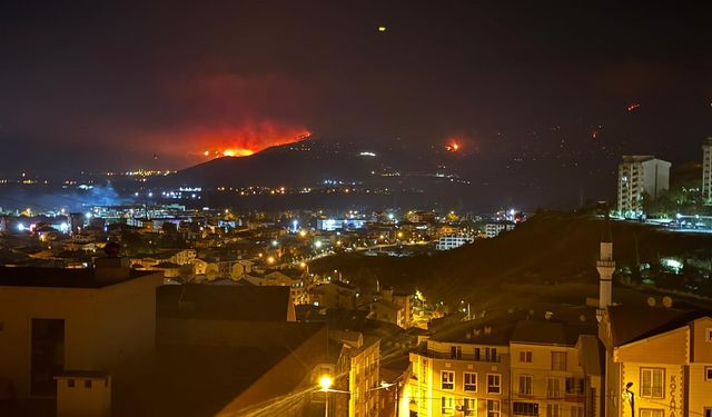 Bursa'da Yangın Durmuyor!
