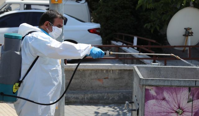 Çankaya Belediyesi'nden haşereyle mücadele