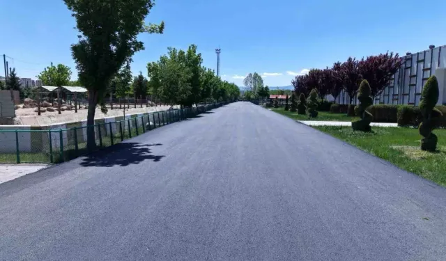 Kayseri'de hayvanat bahçesi yenilendi