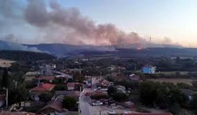 Tekirdağ'daki orman yangını devam ediyor