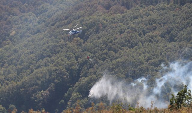 Kocaeli'de çıkan orman yangınına  müdahale sürüyor