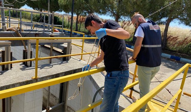 Müsilajla mücadelede 822 milyon lira ceza, 55 tesise kapatma kararı