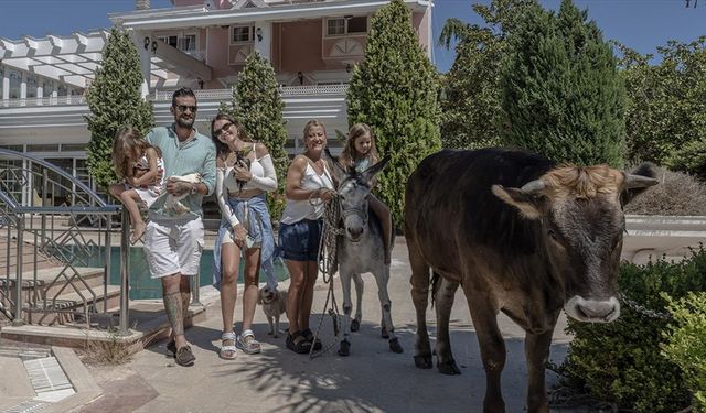 Sahiplendikleri Farklı Türdeki Hayvanlara Yuva Oldular
