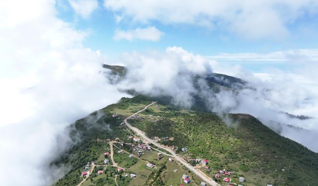 Sis Dağı Yaylası doğaseverlerden ilgi büyük