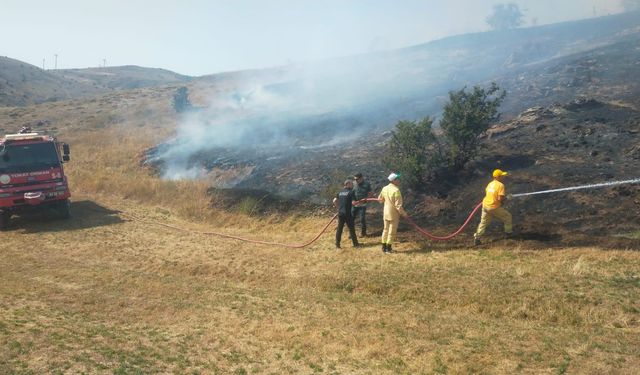 Tokat'ta çıkan yangın sonucunda 10 dönümlük alanda zarar meydana geldi