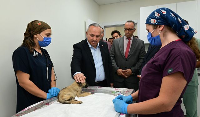 Vali Fidan'dan hayvan bakımevine ziyaret!