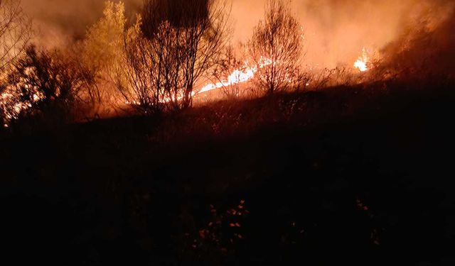 150 dönüm orman yandı