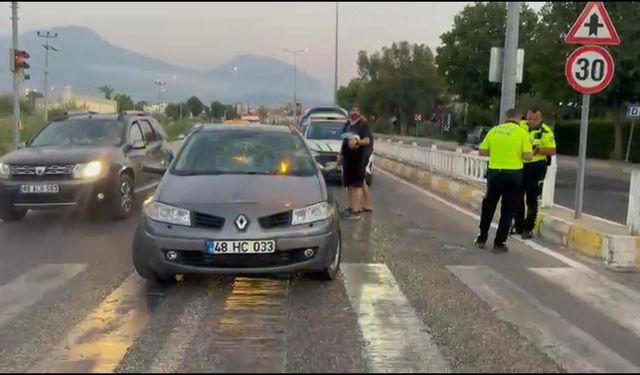 Alkollü şoförün çarpıp kaçtığı kadın hayatını kaybetti