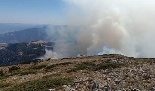Amasya'da orman yangınına müdahale sürüyor