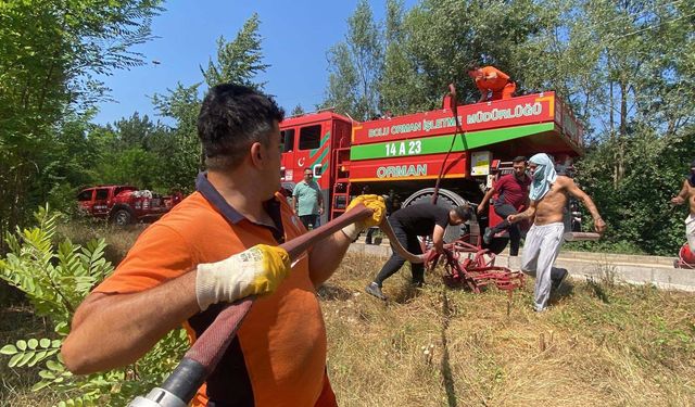 Bolu'da orman yangını, kontrol altına alındı