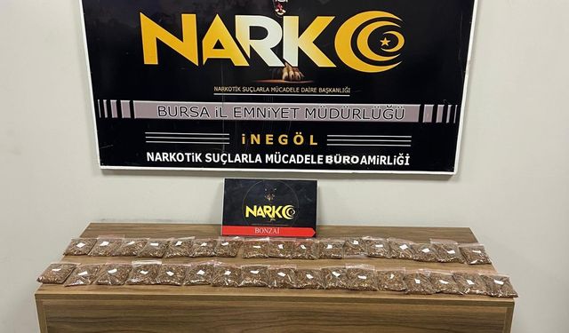 Bursa'da uyuşturucu operasyonu