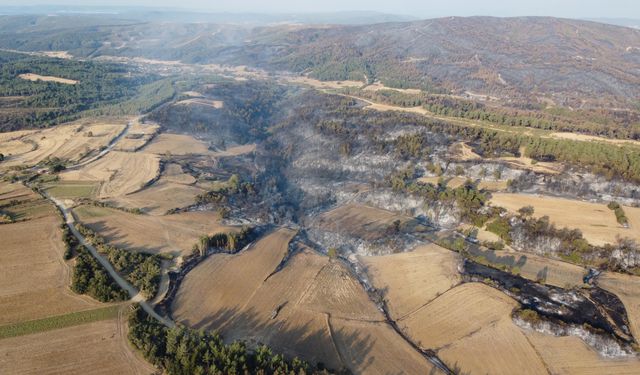 Çanakkale'de orman yangını kontrol altına alındı!