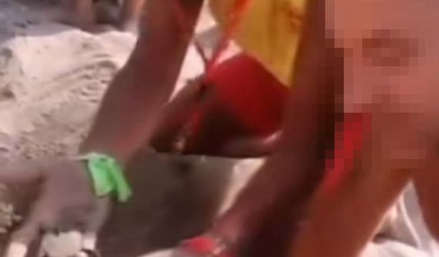 Caretta yavruları turistik şova kurban ediliyor
