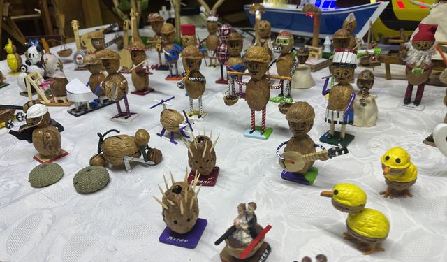 Ceviz kabuklarından dönüşüm