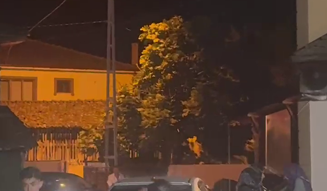 Damada düğün sonrası şaka