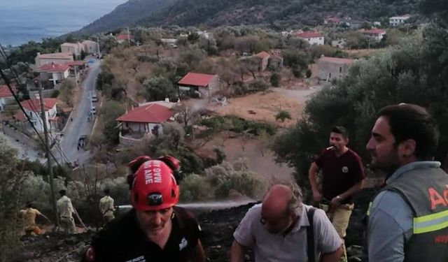 Datça'daki zeytinlik yangını söndürüldü