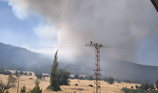 Diyarbakır'da Örtü Yangınları Çıktı
