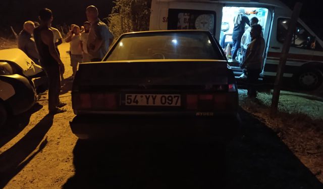 Dur ihtarına uymadılar, kaza yaptılar: 3 yaralı