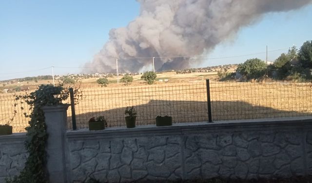 Edirne'de ormanı alevler sardı!