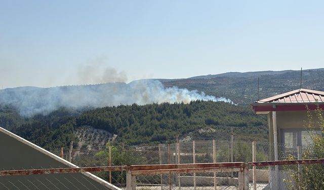 Hatay'daki orman yangınıyla mücadele 16,5 saat sürdü