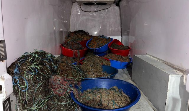 Kaçak balıkçıların avladığı kalkanlara el konuldu