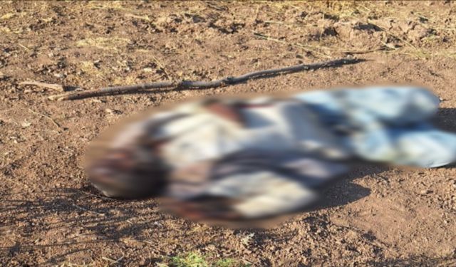 Kayıp olarak aranıyordu, cesedine ulaşıldı