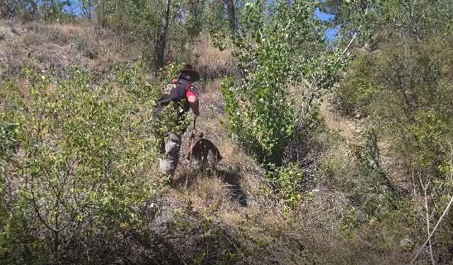 Kayıp yaşlı adam 115 kişilik ekiple aranıyor