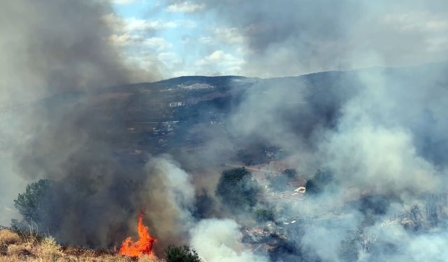Kocaeli'de ot yangını büyüyor!