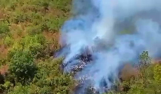 Küre Dağları Milli Parkı'nda orman yangını çıktı!