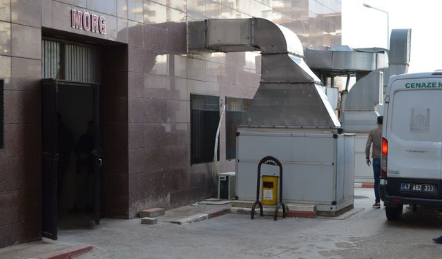 Mardin'de Sanayi Sitesinde levye Can Aldı