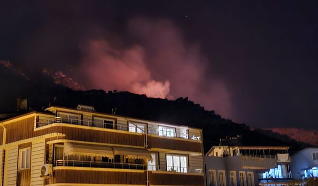 Marmara Adası'nda orman yangını çıktı