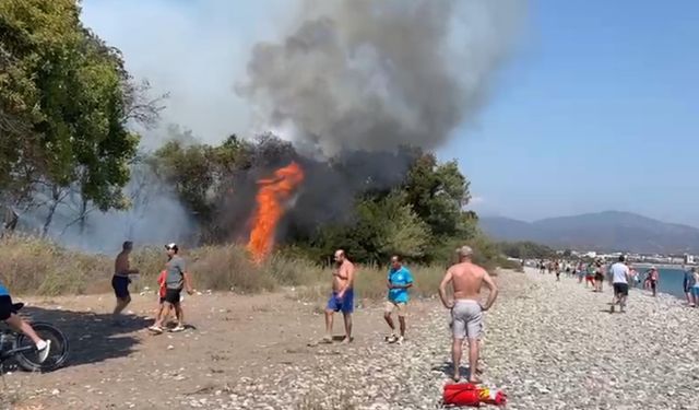 Muğla'da orman yangını çıktı