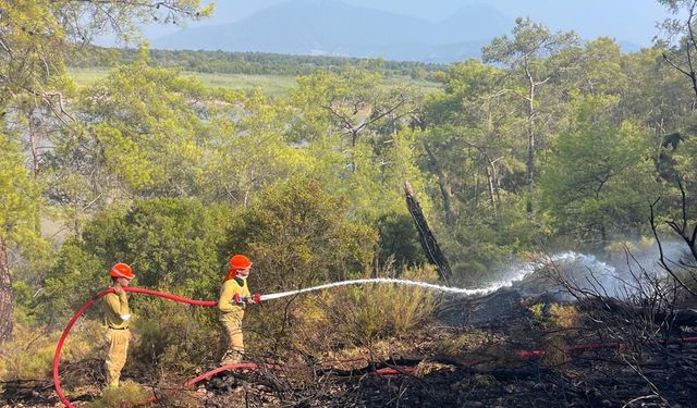 Muğla'daki ormanı yangını kontrol altına alındı