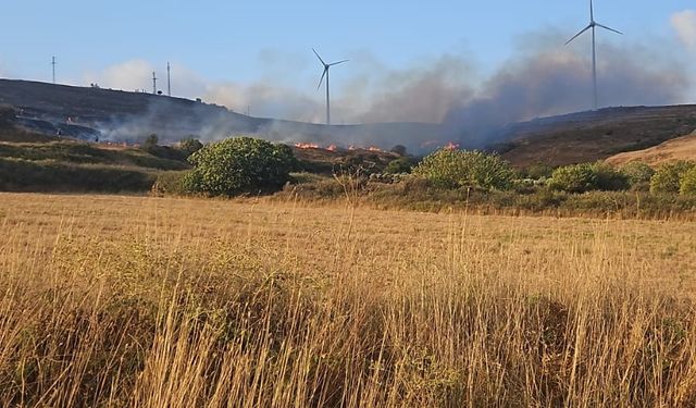 Paşalimanı Adası'ndaki yangın söndürüldü