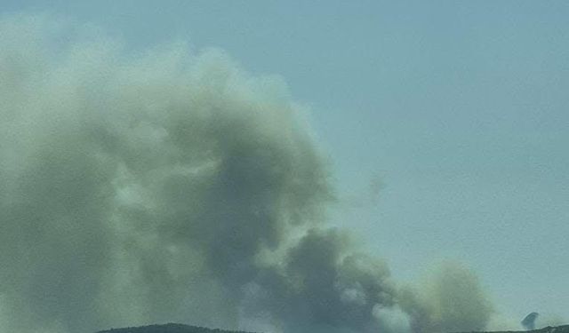 Silifke'de 3 ayrı orman yangını