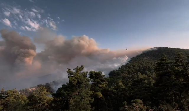 Silifke'deki orman yangınları devam ediyor