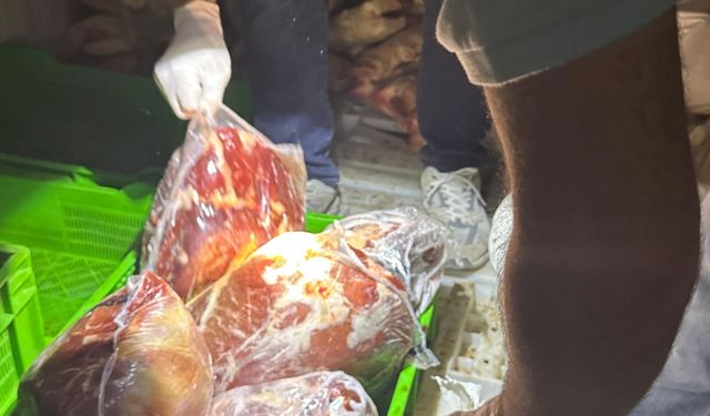Şırnak'ta yapılan denetimde 3 ton kaçak et bulundu