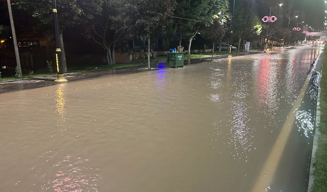 Sivas'ta Arıza Göle Dönüştürdü