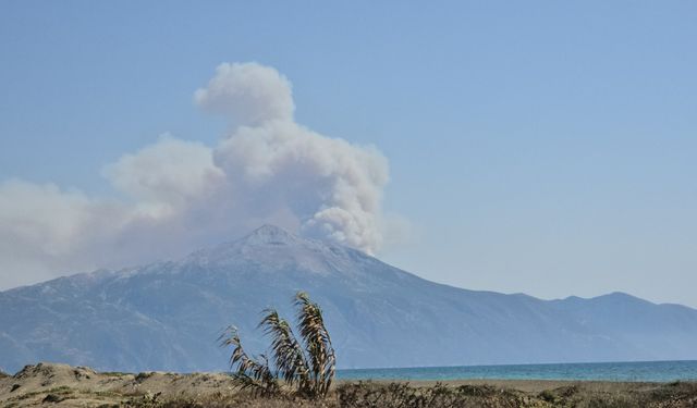 Suriye'de sınıra yakın bölgede orman yangını